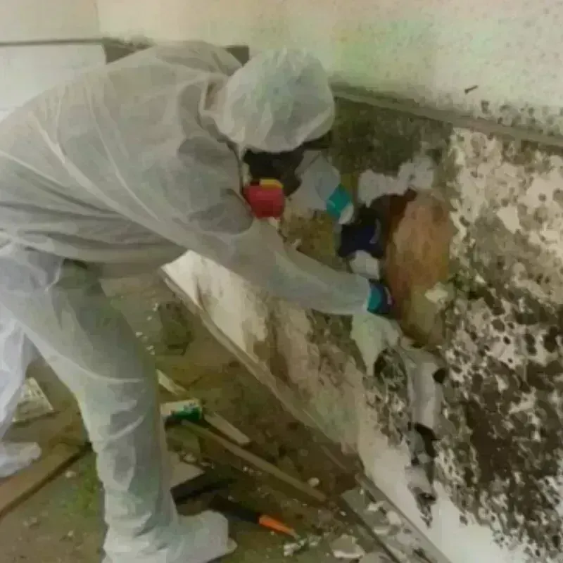 Mold Remediation and Removal in Matthews, NC